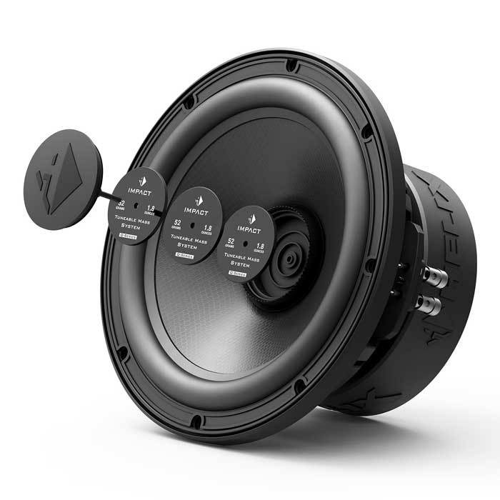 iq_w10_dvc2_weight.jpg