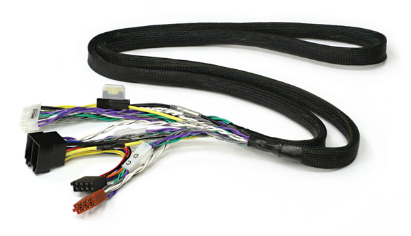 pp50dsp_cable.jpg